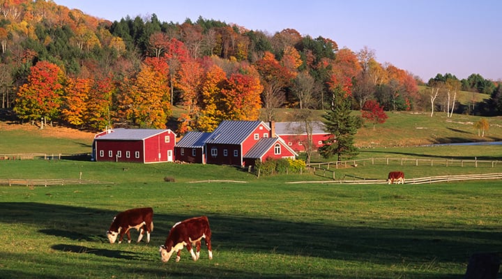 Vermont is home to people with the healthiest brain habits