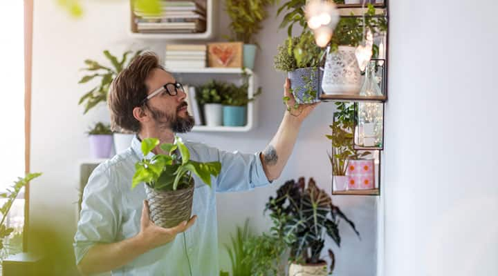 Healthy man arranging herbs on a wall