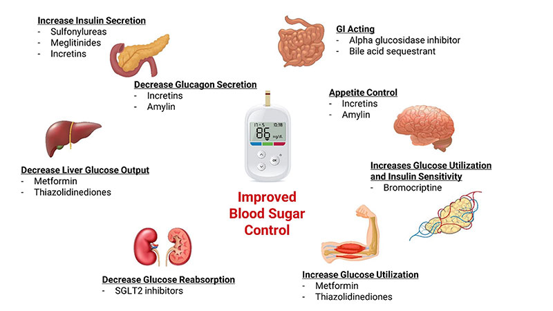 Chart showing the benefits of blood sugar balance