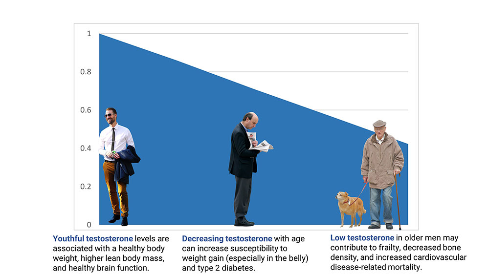 Illustration indicating the relative decrease in salivary testosterone with increasing age in U.S. men.