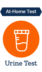 Complete Hormone & Urinary Metabolites Assessment Profile (HuMap) Urine Test